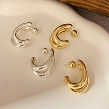 Load image into Gallery viewer, Double-Hoop Sculptural Earrings | 40E491: SILVER
